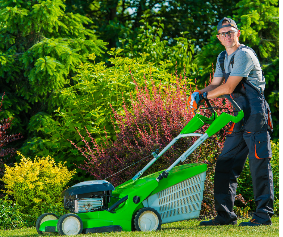 How to Maintain Your Garden: Tips and Tricks for a Lush Outdoor Space